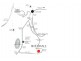 Lot 123, No 12 Clancy Court, Gawler South SA 5118