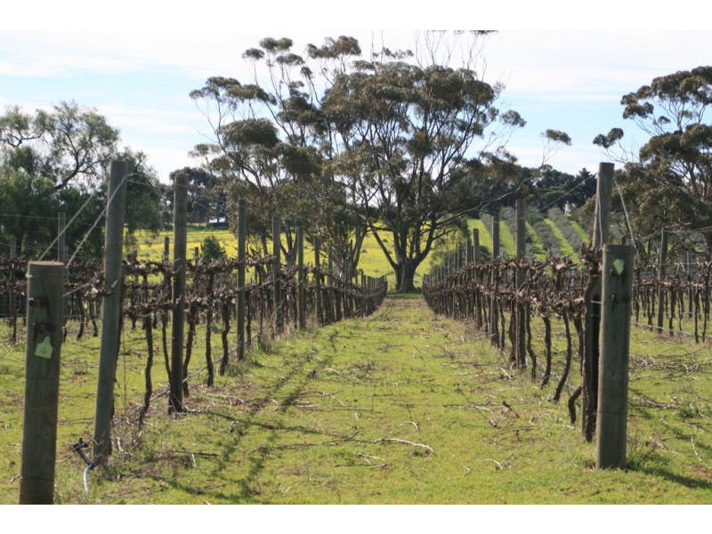 540 Craigmore Road, One Tree Hill SA 5114