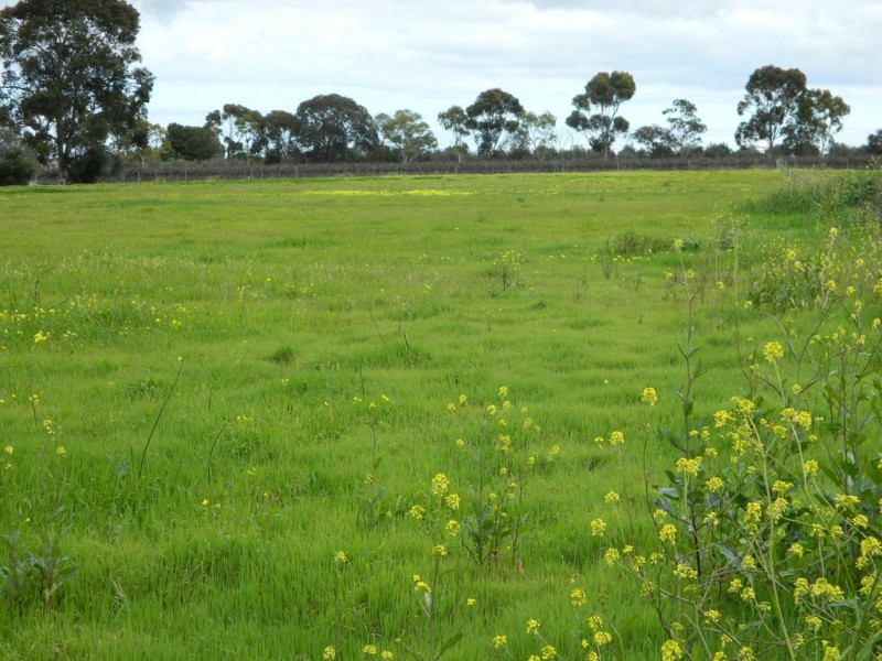 202 Pederick Road, Lewiston SA 5501