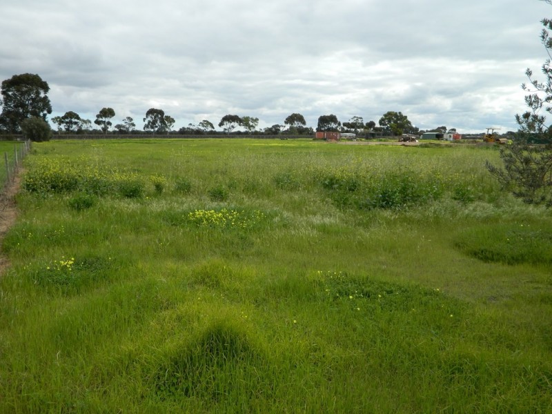 202 Pederick Road, Lewiston SA 5501