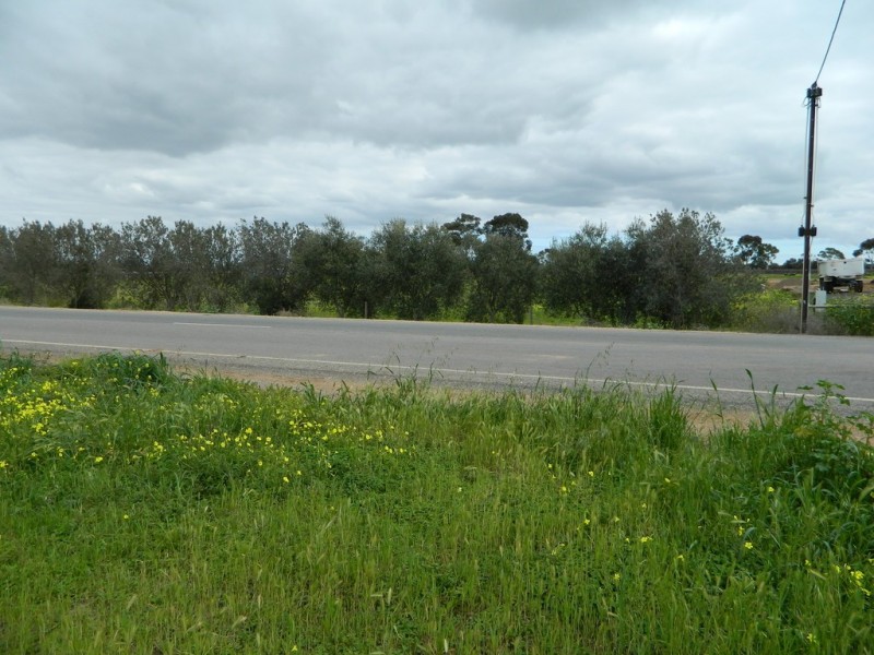 202 Pederick Road, Lewiston SA 5501