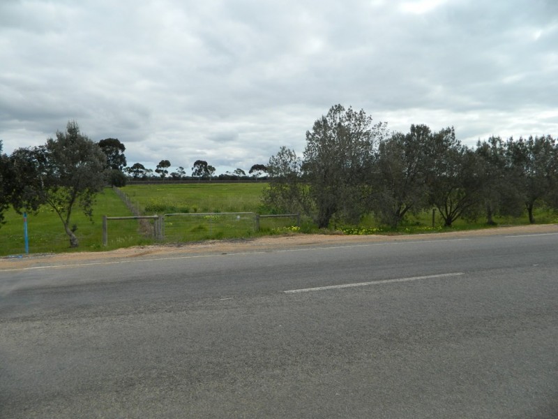 202 Pederick Road, Lewiston SA 5501