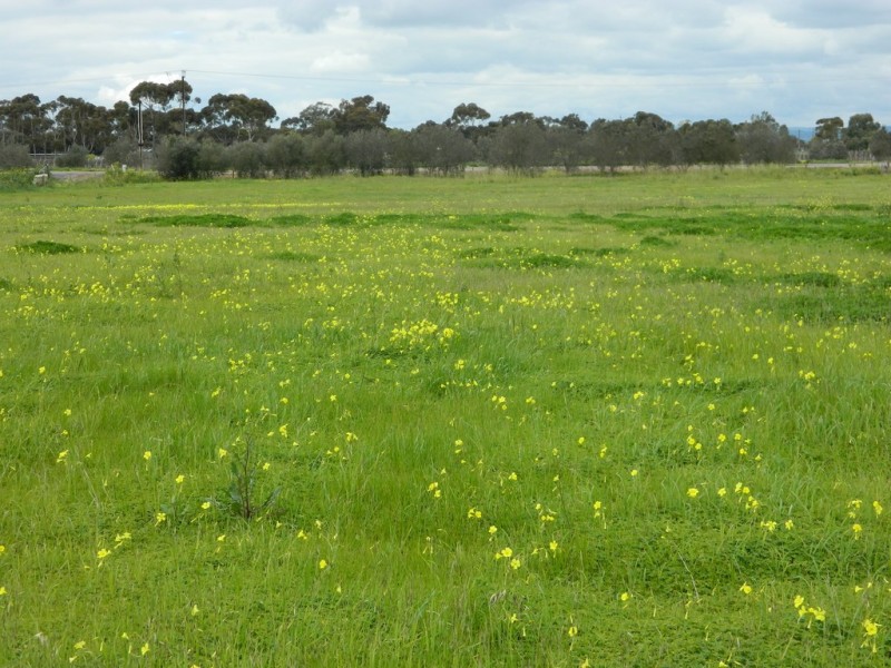 202 Pederick Road, Lewiston SA 5501