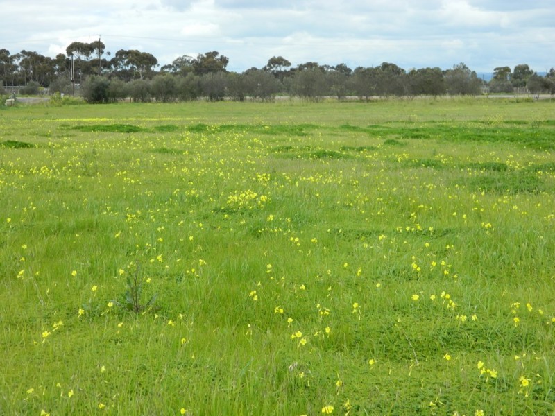 202 Pederick Road, Lewiston SA 5501