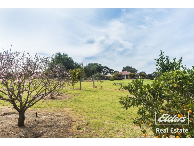 8 Kentish Road, Gawler Belt SA 5118