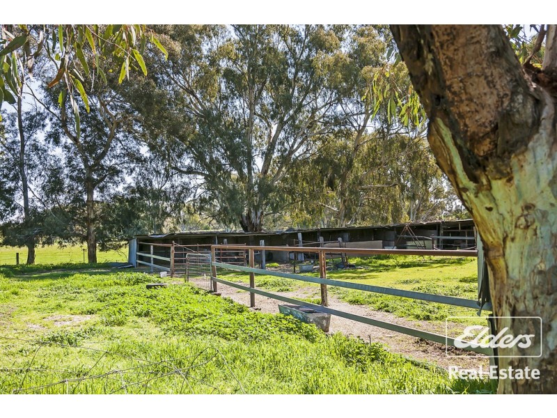 509 Rosedale Road, Gawler SA 5118