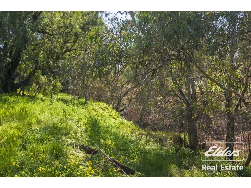 509 Rosedale Road, Gawler SA 5118