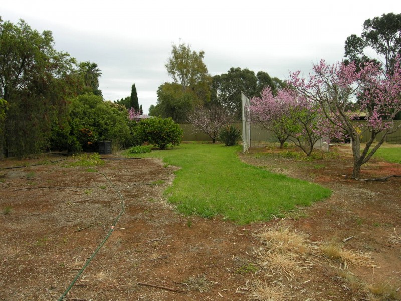 35 Max Fatchen Drive, Angle Vale SA 5117