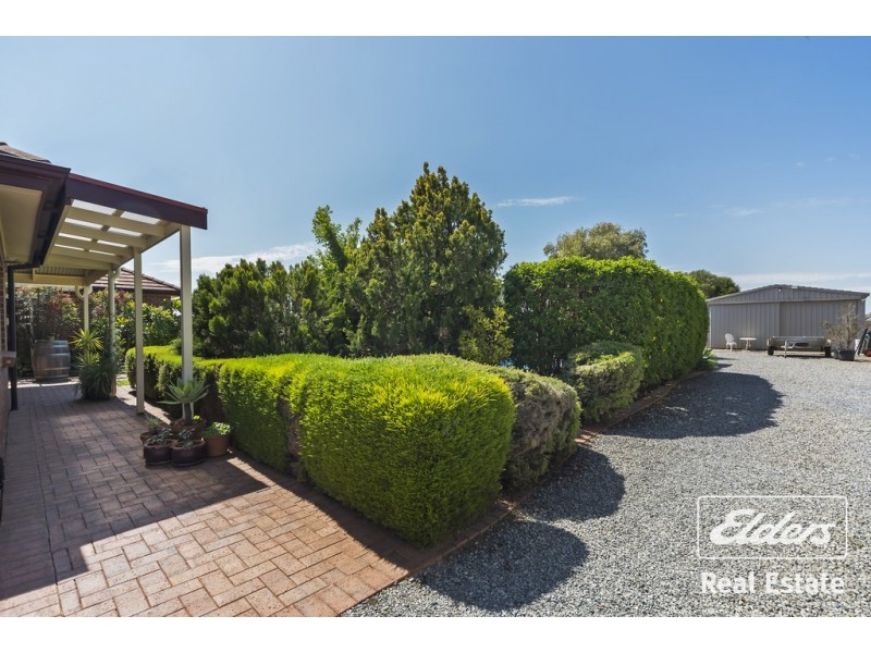 48 Gawler Terrace, Gawler South SA 5118