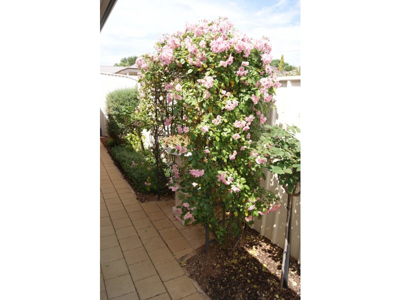 2/22 Duffield Street, Gawler East SA 5118