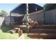 20 Lundie Crescent, Gawler East SA 5118