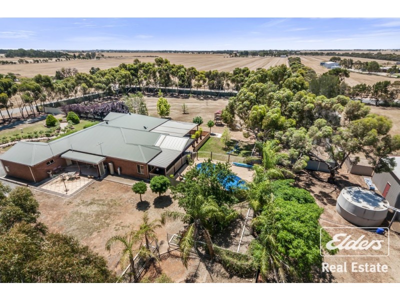 1 Bray Court, Gawler Belt SA 5118