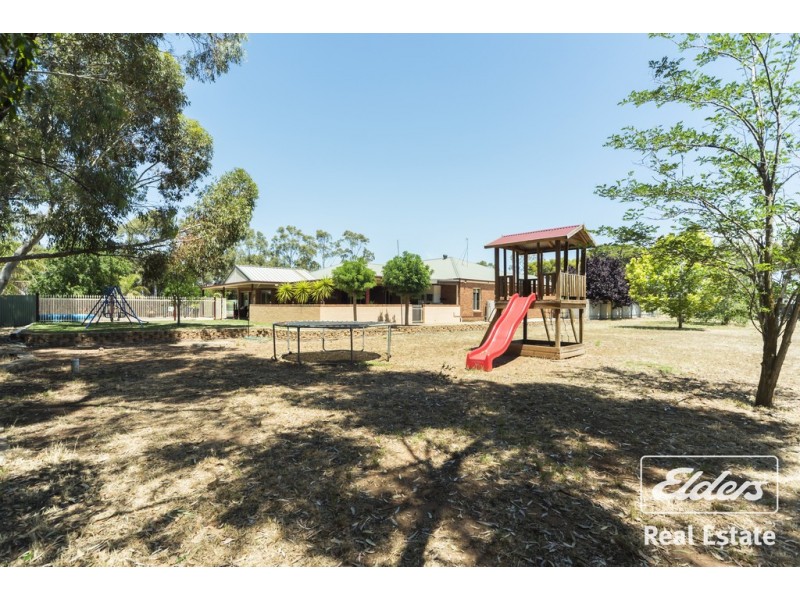 1 Bray Court, Gawler Belt SA 5118