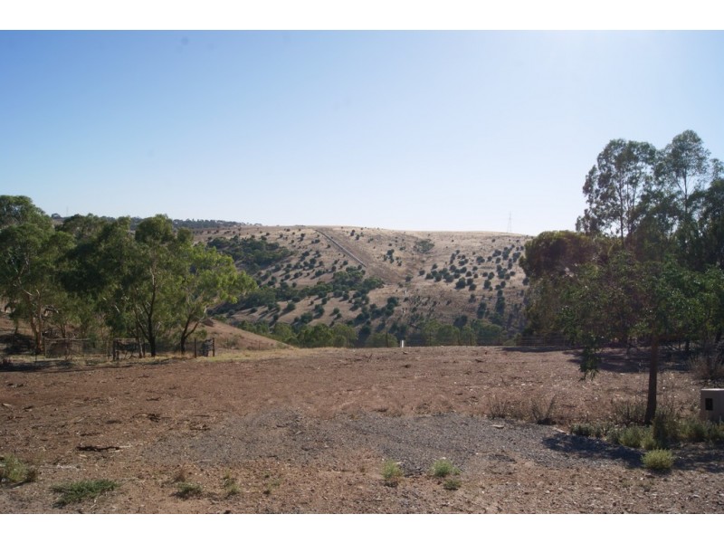 77 Eckerman Avenue, Gawler South SA 5118