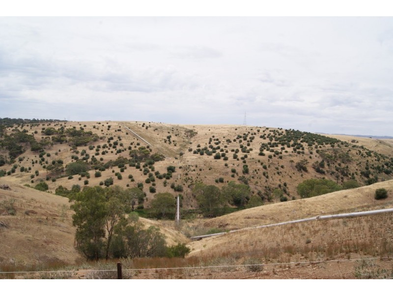 77 Eckerman Avenue, Gawler South SA 5118