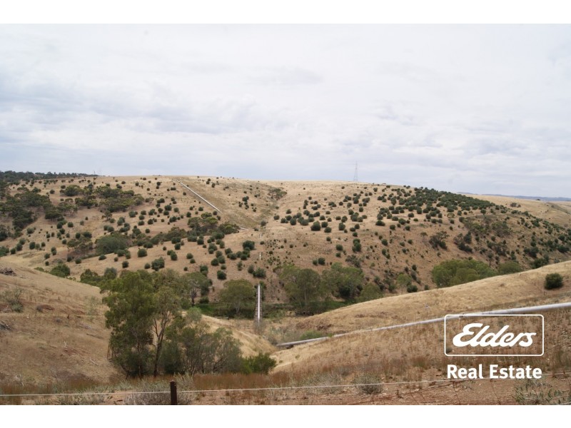 77 Eckerman Avenue, Gawler South SA 5118