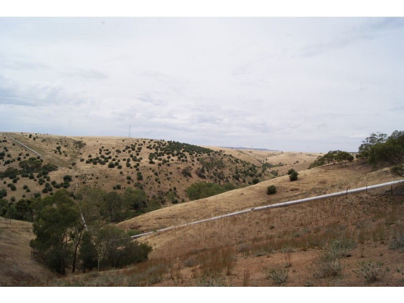 77 Eckerman Avenue, Gawler South SA 5118