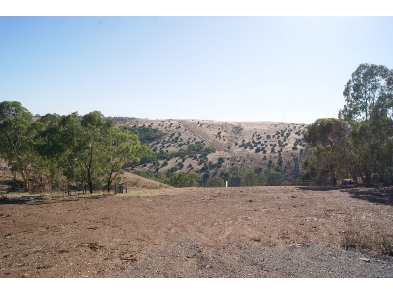 77 Eckerman Avenue, Gawler South SA 5118