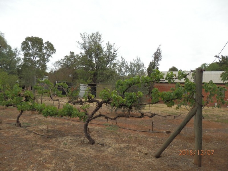 281 Hillier Road, Hillier SA 5116