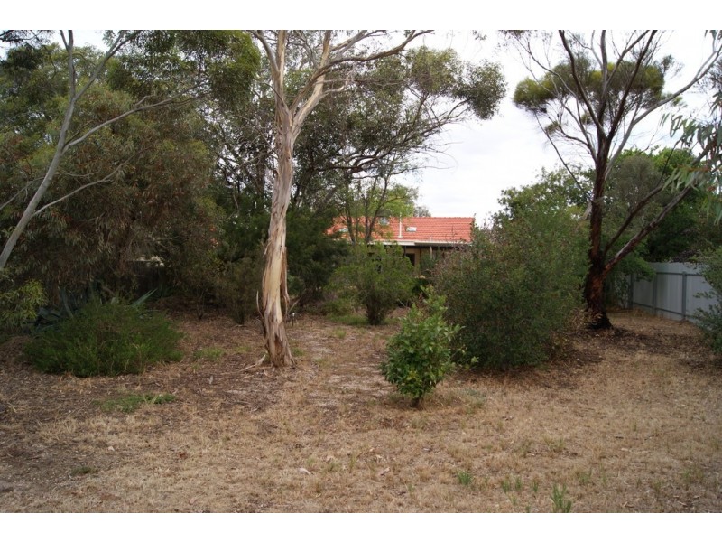 48 Lyndoch Road, Gawler East SA 5118