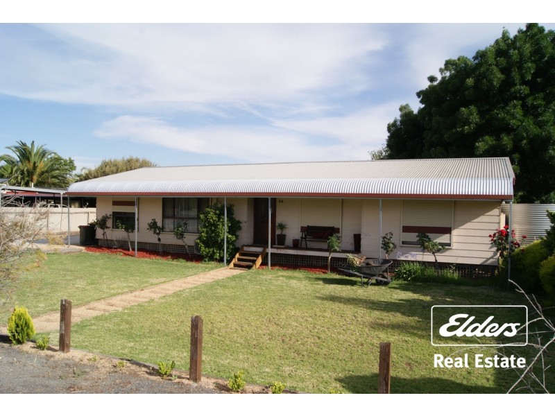 46 Borrow Street, Freeling SA 5372