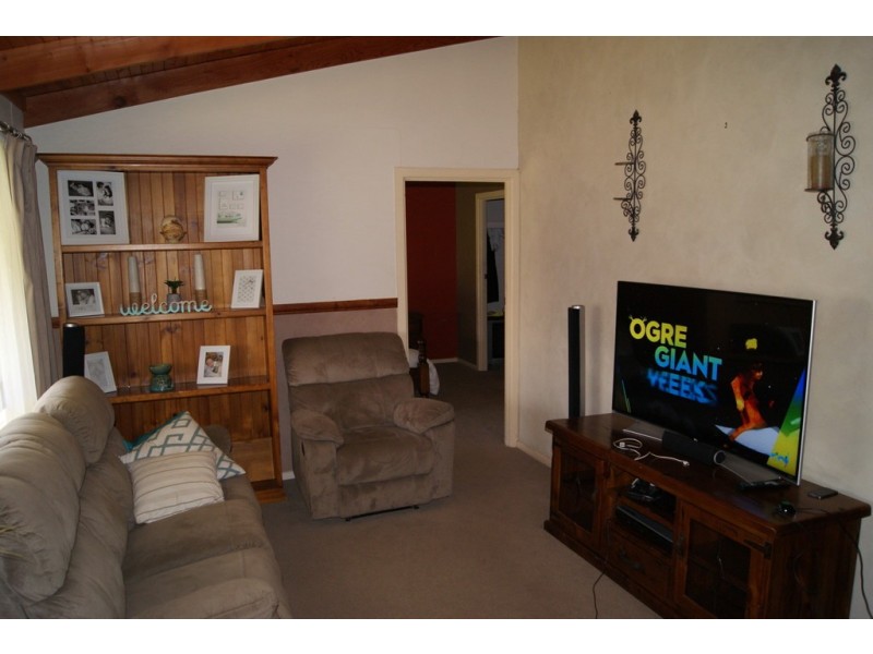 46 Borrow Street, Freeling SA 5372