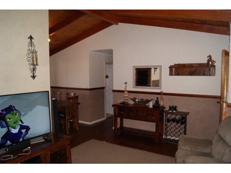 46 Borrow Street, Freeling SA 5372