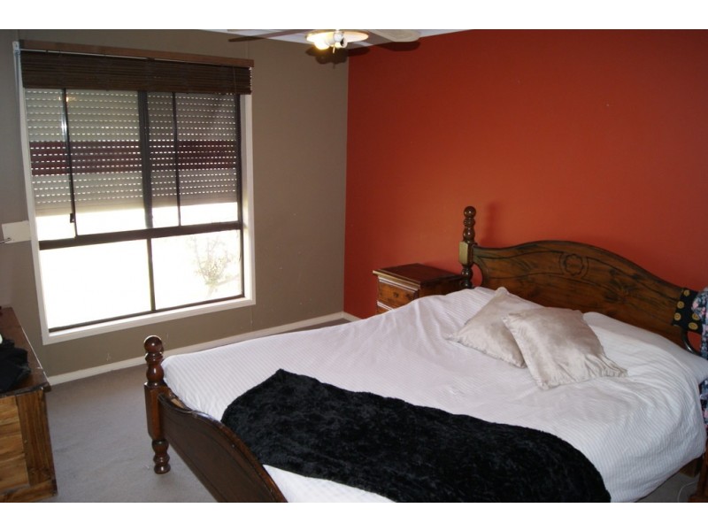 46 Borrow Street, Freeling SA 5372