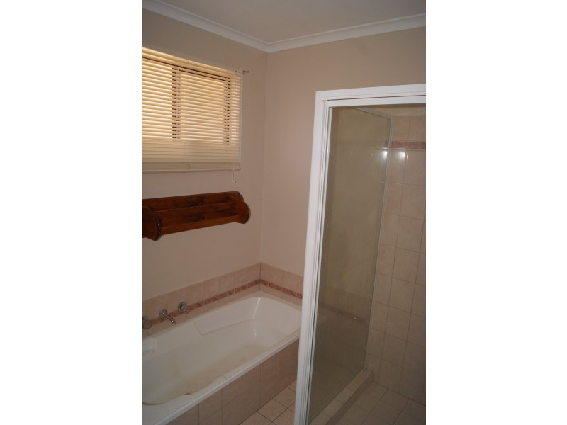 46 Borrow Street, Freeling SA 5372