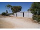 46 Borrow Street, Freeling SA 5372