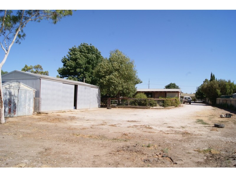 46 Borrow Street, Freeling SA 5372
