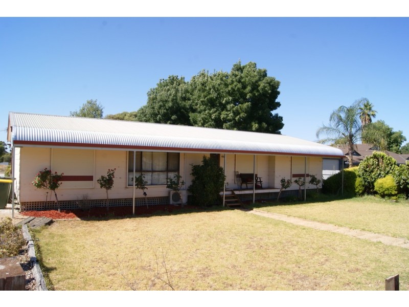 46 Borrow Street, Freeling SA 5372