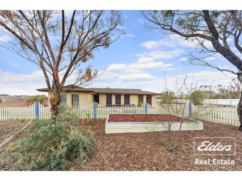 20 Albert Street, Hamley Bridge SA 5401