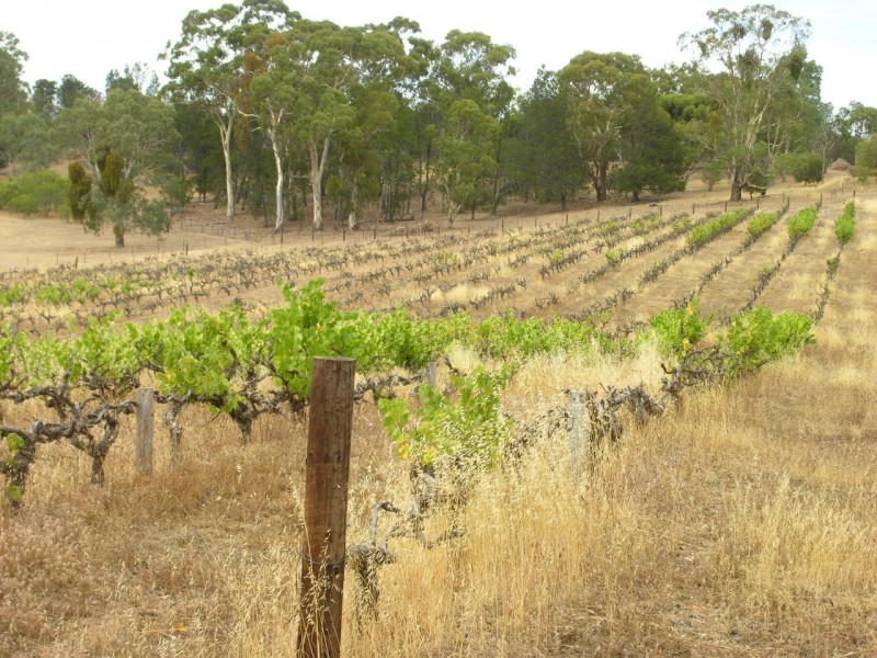 Lot 98 Needles Road, Williamstown SA 5351