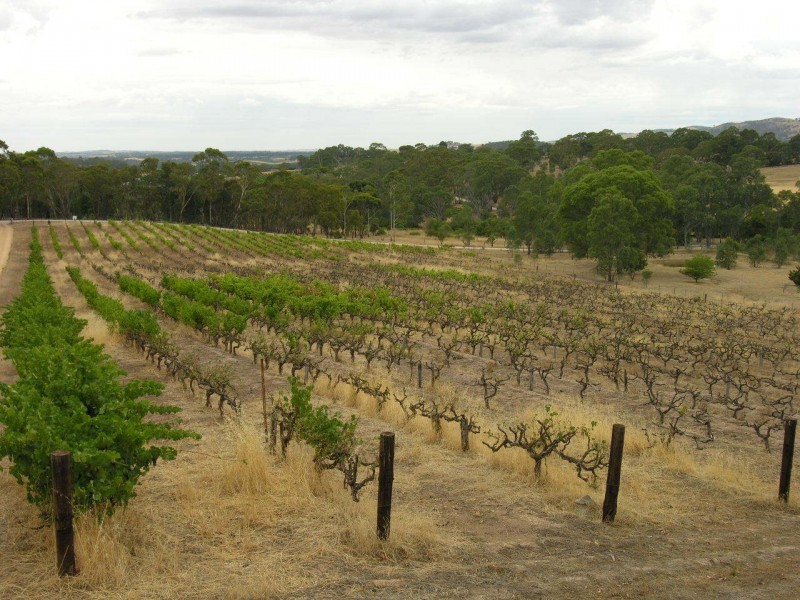 Lot 98 Needles Road, Williamstown SA 5351