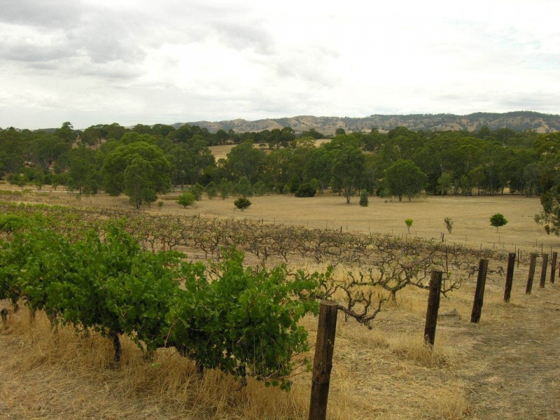 Lot 98 Needles Road, Williamstown SA 5351