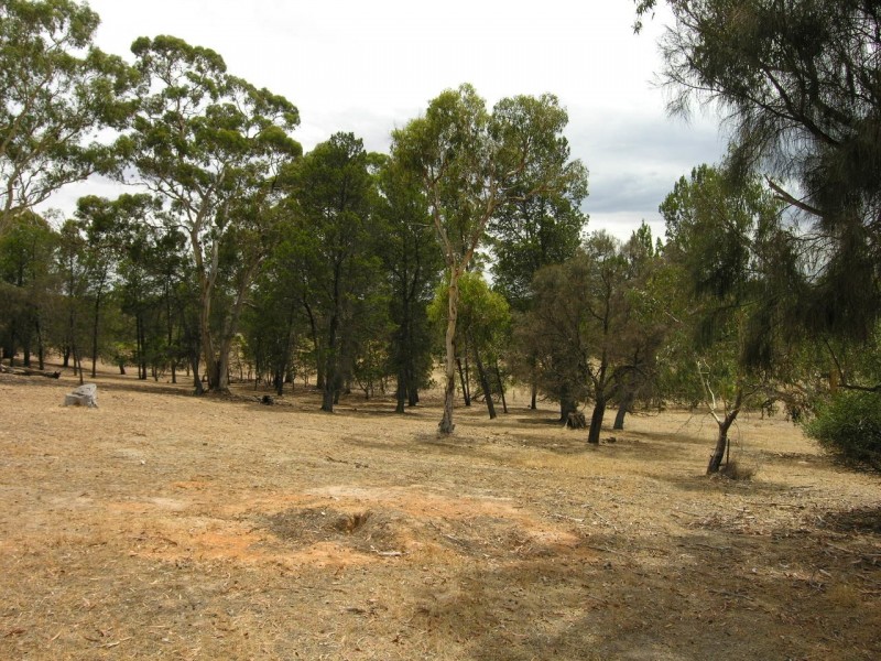 Lot 98 Needles Road, Williamstown SA 5351