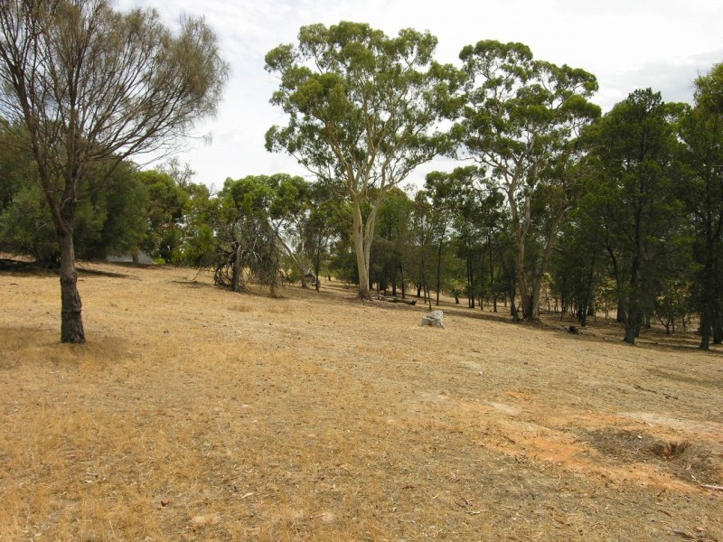 Lot 98 Needles Road, Williamstown SA 5351