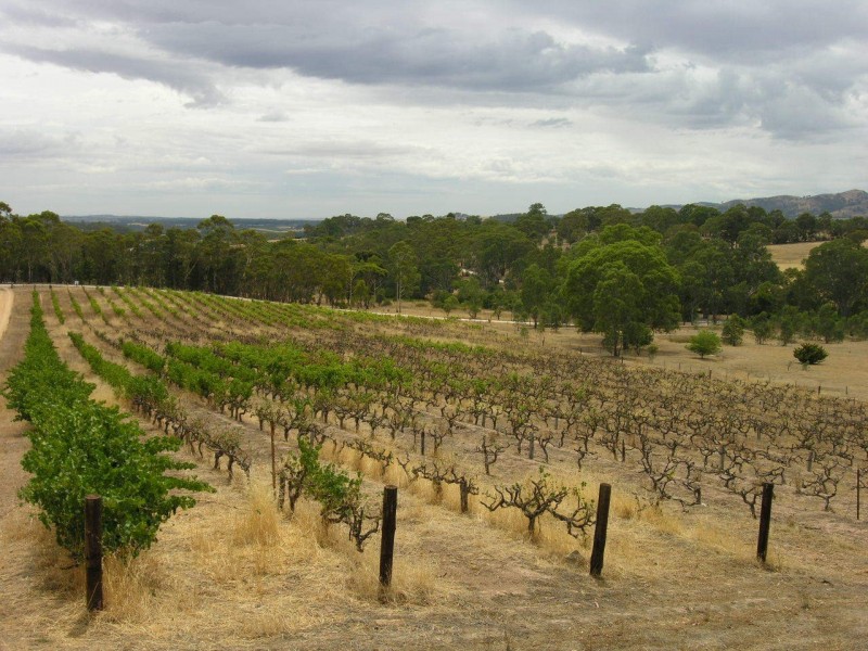 Lot 98 Needles Road, Williamstown SA 5351