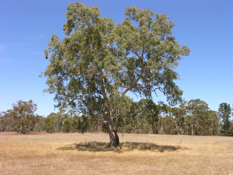 48 Mount Road, Mount Crawford SA 5351