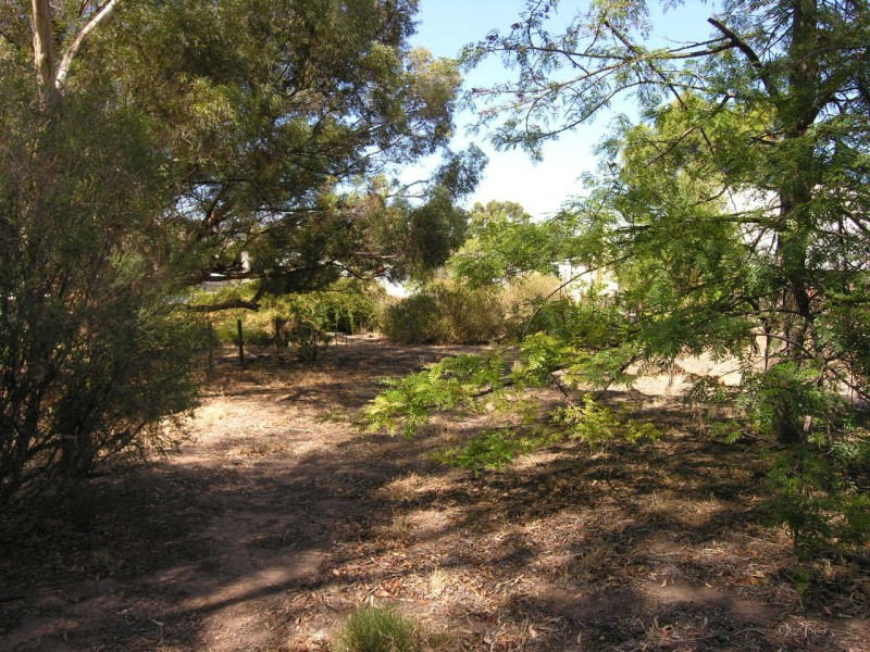 34 Gilbert Street, Lyndoch SA 5351