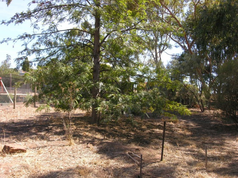 34 Gilbert Street, Lyndoch SA 5351