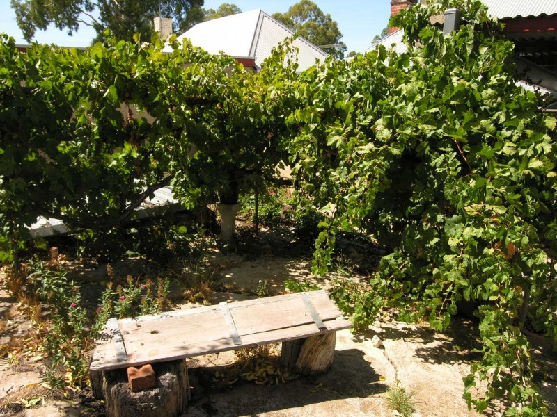 34 Gilbert Street, Lyndoch SA 5351