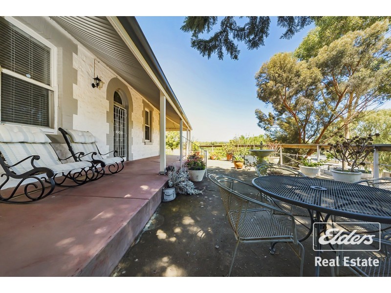 28 Burrows Street, Willaston SA 5118