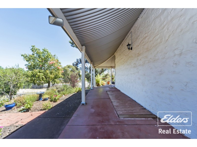 28 Burrows Street, Willaston SA 5118