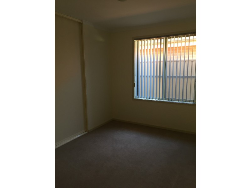 2/50 Panter Street, Willaston SA 5118