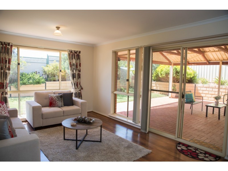 11 Palamountain Drive, Evanston Park SA 5116