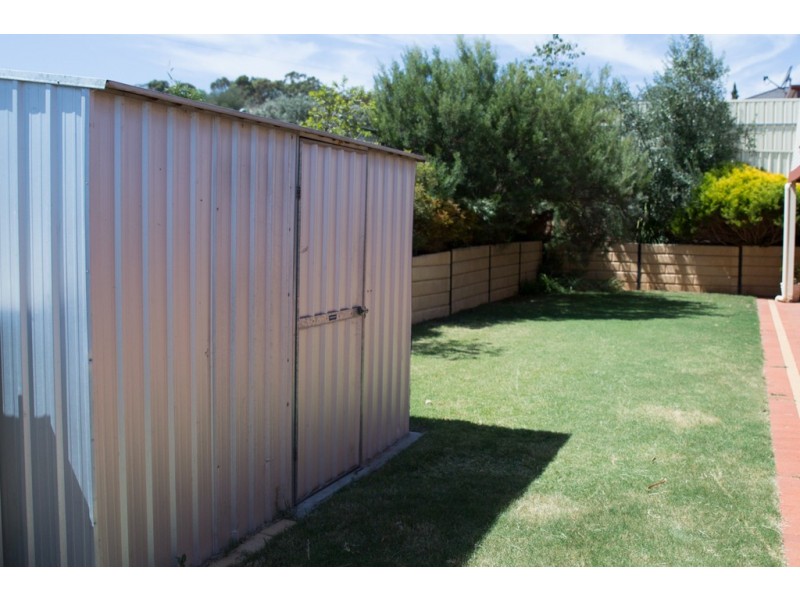 11 Palamountain Drive, Evanston Park SA 5116