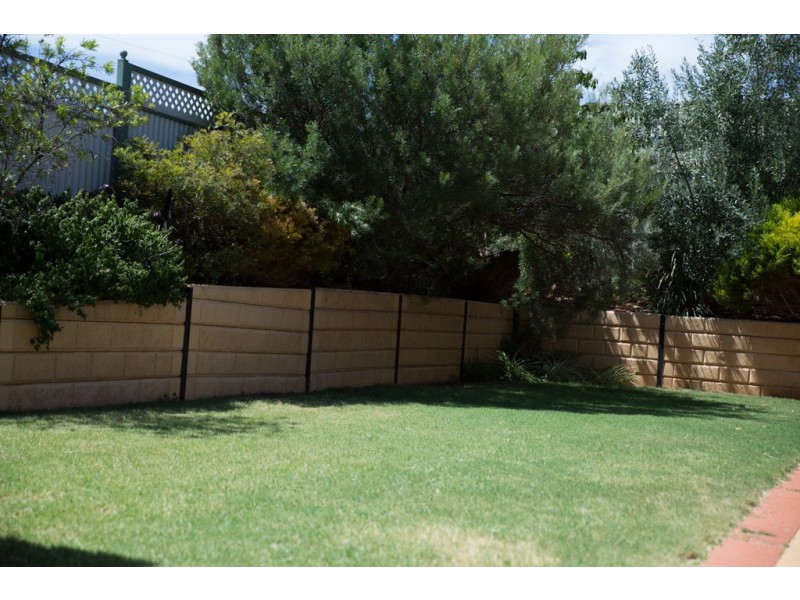 11 Palamountain Drive, Evanston Park SA 5116