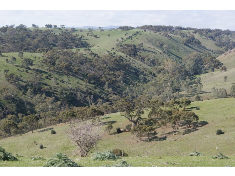Lot 13 Allendale Road, Kalbeeba SA 5118